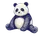 Kai